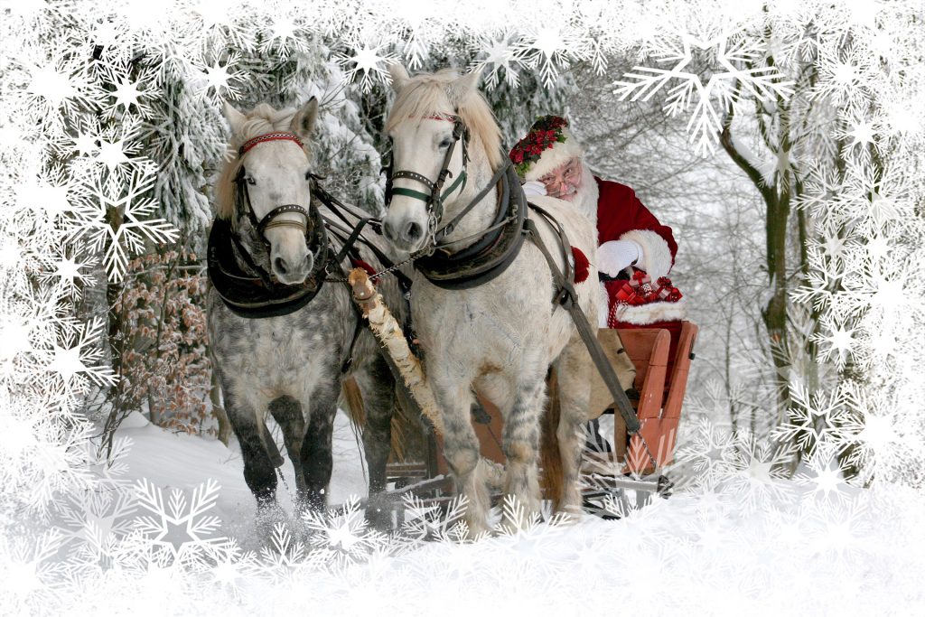 Venez fêter Noël au centre équestre - Cheval Passion Jura